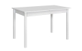 Stół MAX 2 - 60 x 110cm