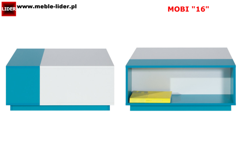 MOBI z LOGO LIDER 16.png