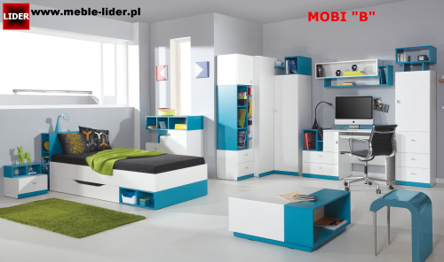 MOBI z LOGO LIDER b.png