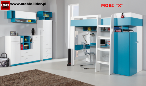 MOBI z LOGO LIDER X.png