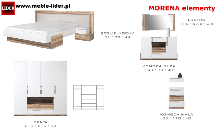 MORENA z LOGO LIDER elementy.png