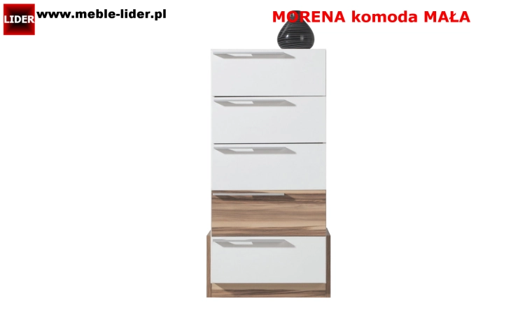 MORENA z LOGO LIDER KM.png