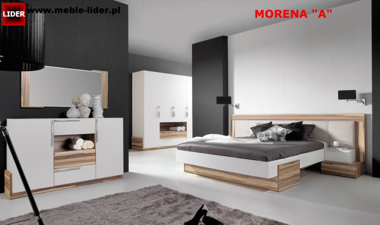 MORENA z LOGO LIDER A.png