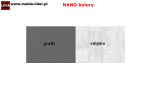 NANO z LOGO LIDER kolory.png