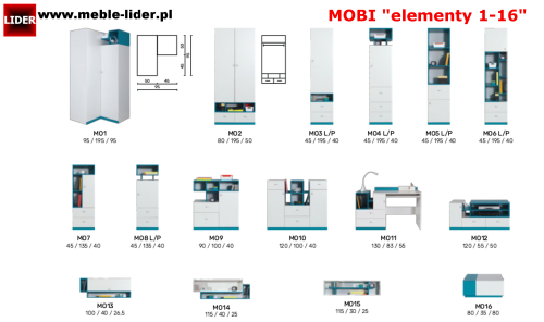 MOBI z LOGO LIDER elementy 1-16.png