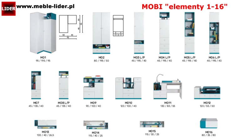 MOBI z LOGO LIDER elementy 1-16.png