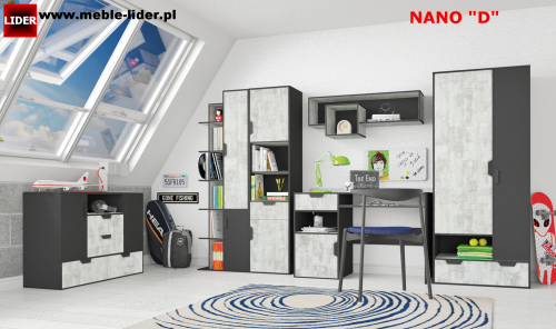 NANO z LOGO LIDER D.png