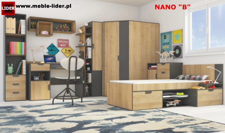 NANO z LOGO LIDER B.png