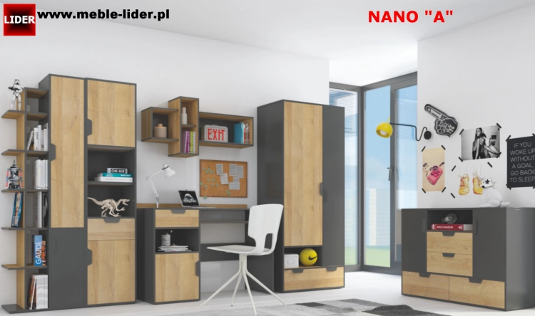 NANO z LOGO LIDER A.png