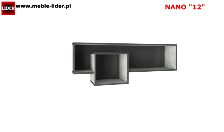 NANO z LOGO LIDER 12.png