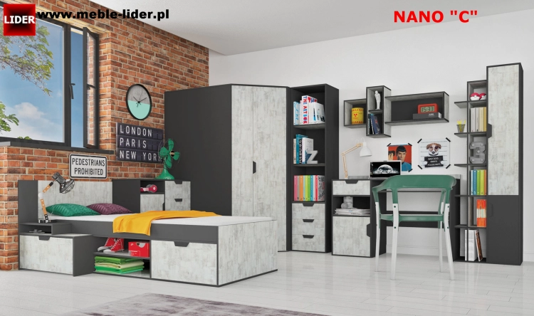 NANO z LOGO LIDER C.png