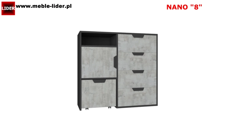 NANO z LOGO LIDER 8.png