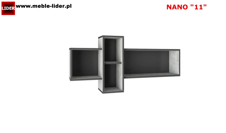 NANO z LOGO LIDER 11.png