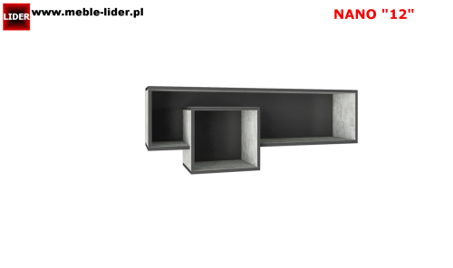 NANO z LOGO LIDER 12.png