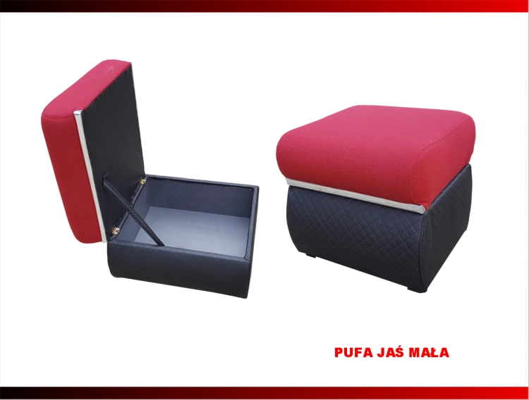 JAŚ PUFA z LOGO LIDER 4.png