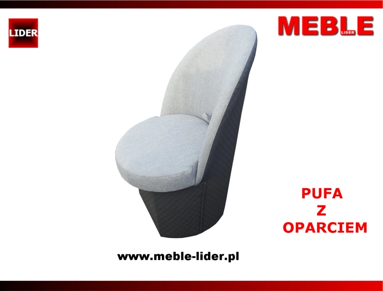 PUFA Z OPARCIEM z LOGO LIDER 2.png